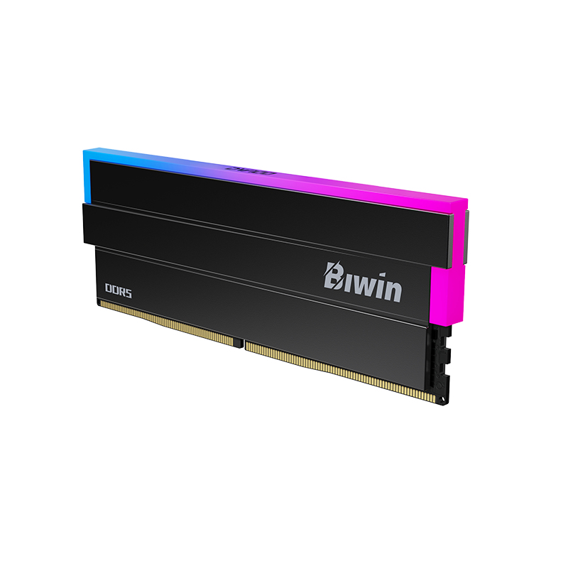 Biwin BXL54860DW1-D28FB memory module – image 2