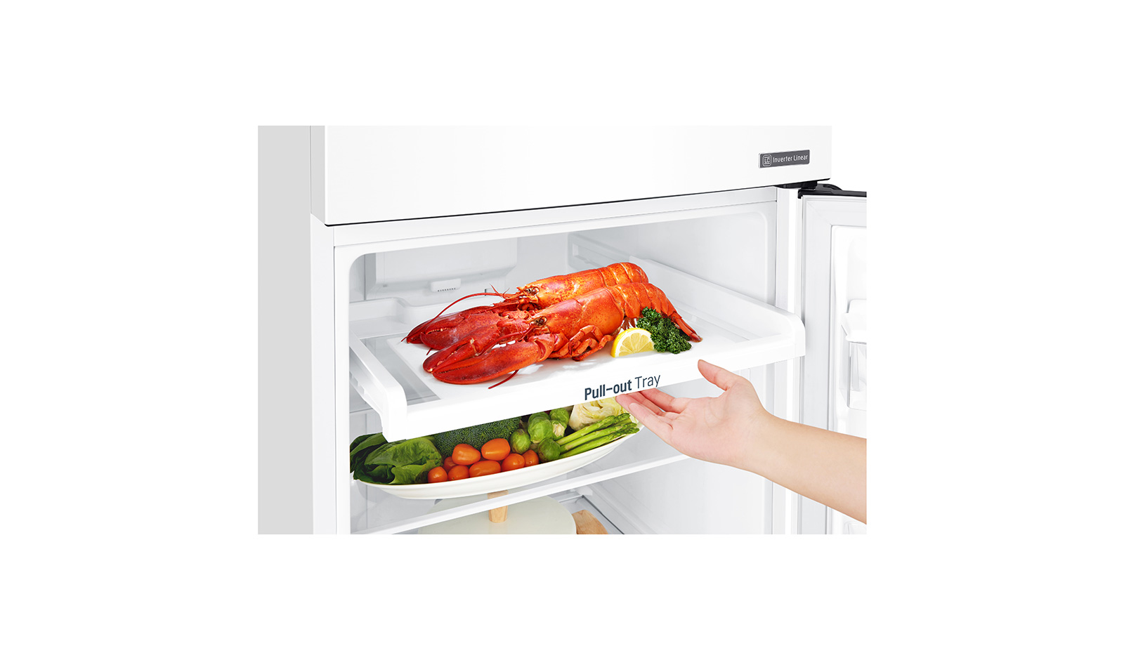LG GTB362SHCZD fridge-freezer Freestanding – image 6