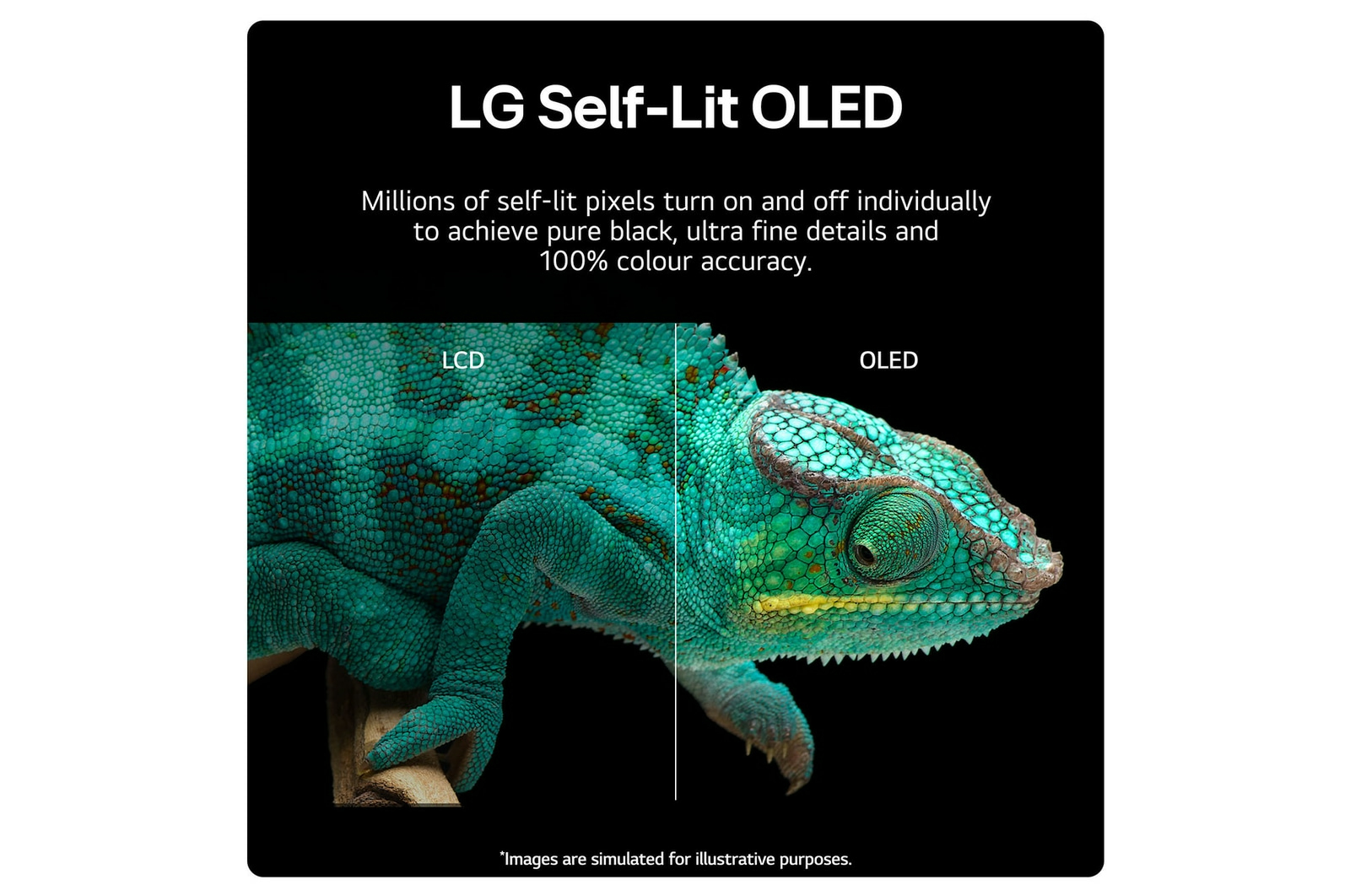 LG OLED B4 139.7 cm (55") 4K Ultra HD Smart TV Wi-Fi Black – image 3