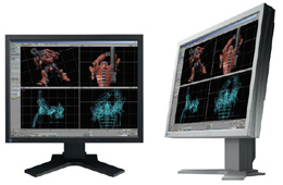 EIZO 20IN ANA DIG 500:1