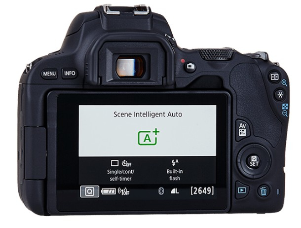 Canon EOS 200D + EF-S 18-55mm f/4-5.6 IS STM + EF 50mm f/1.8 STM – image 4