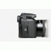 Canon 40D + EF 100 Macro – image 5