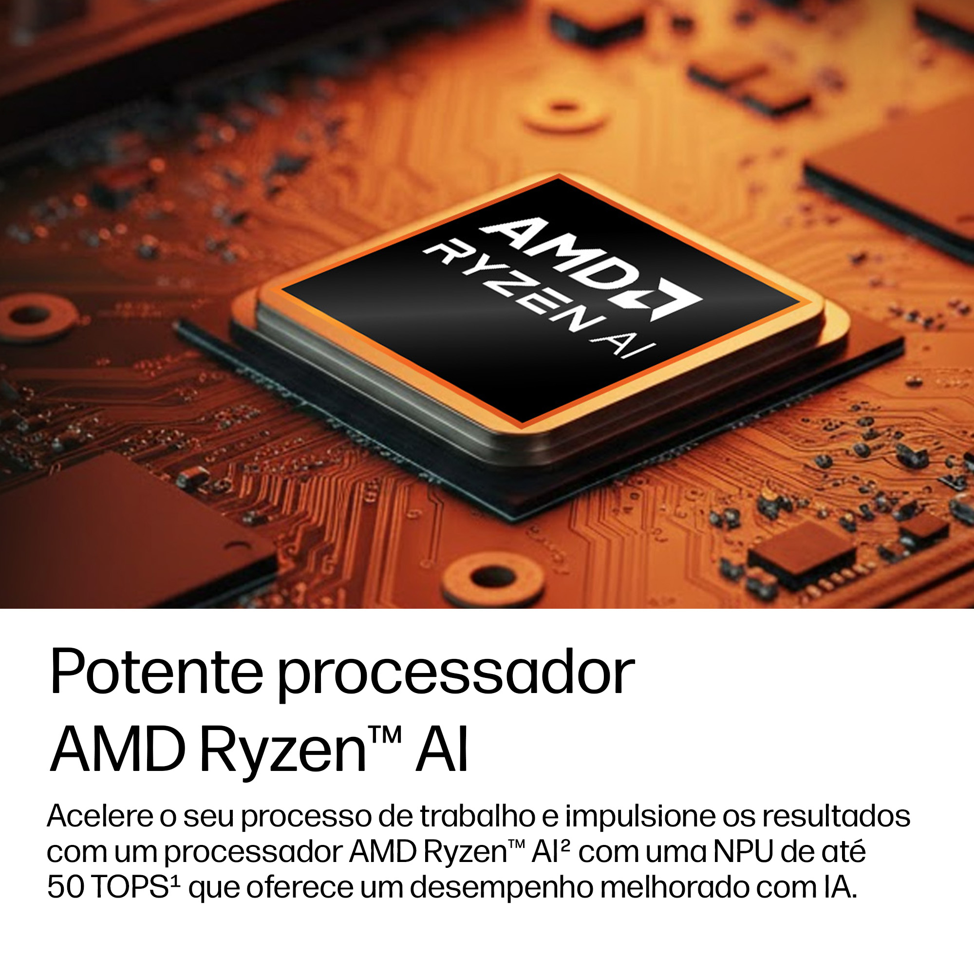 Miniatura 10