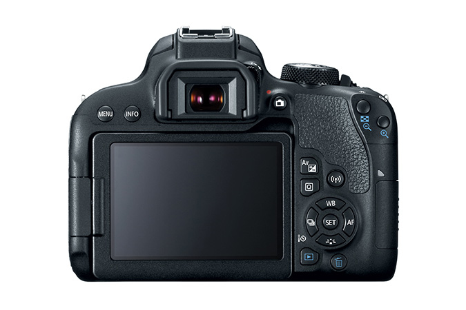 Canon EOS Rebel T7i + EF-S 18-55 IS STM – image 4