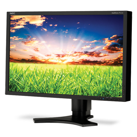 NEC MultiSync P221W computer monitor