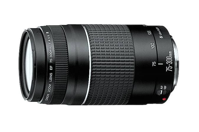 Canon 4000D + EF-S 18-55 mm f/3.5-5.6 III + EF 75-300 mm f/4-5.6 III – image 5