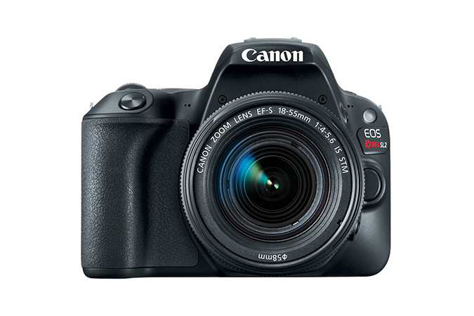 Canon Rebel SL2 + EF-S 18-55mm f/4-5.6