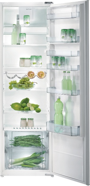 Gorenje RI4182BW fridge Built-in