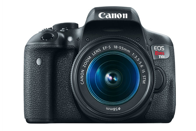 Canon Rebel T6i + EF-S 18-55mm f/3.5-5.6 IS STM + EF-S 55-250mm f/4-5.6 IS II – image 6