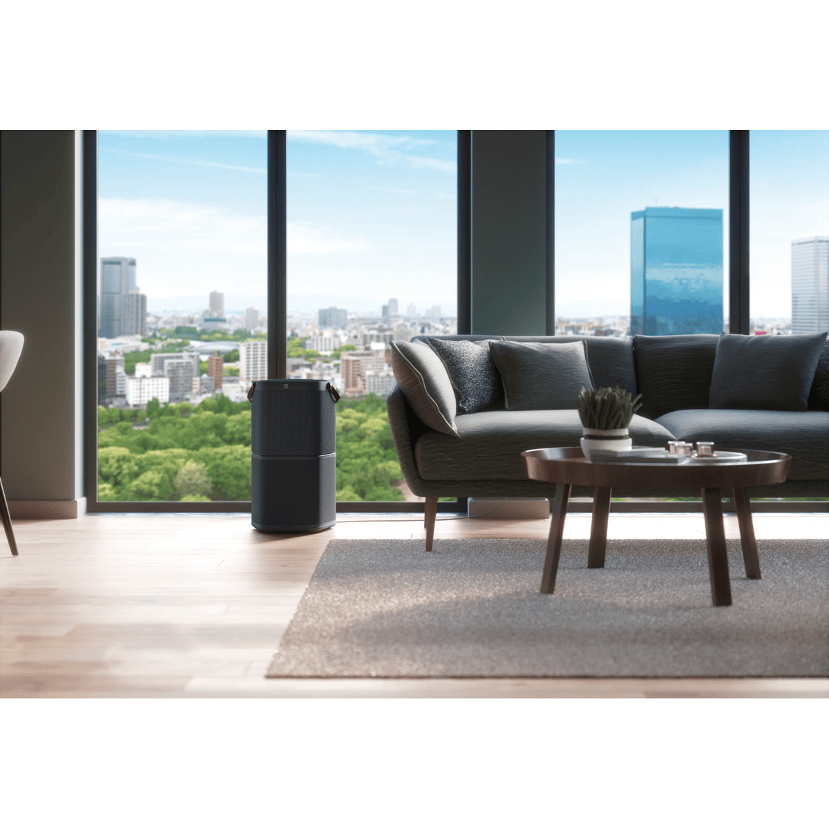 Electrolux PA91-404DG 37 m² – image 6