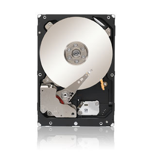 Seagate Constellation ST33000650NS internal hard drive – image 1