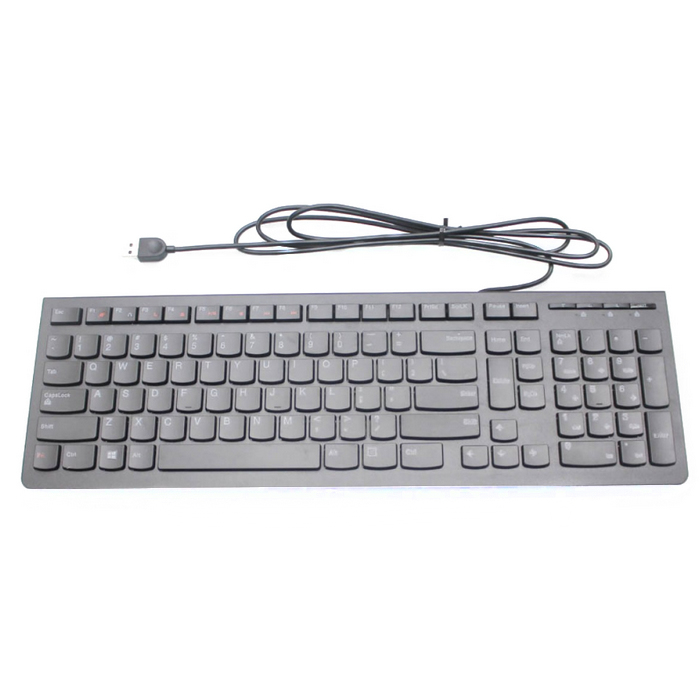 Lenovo 25209137 keyboard Universal USB Portuguese Black
