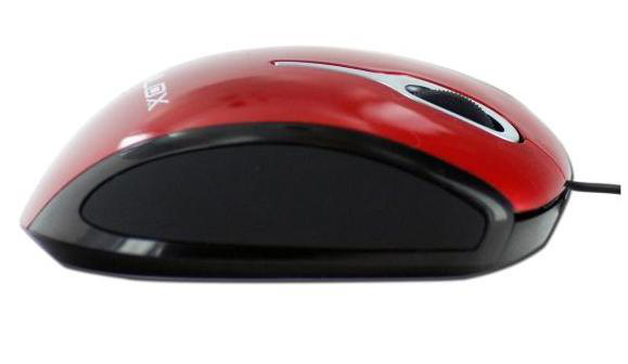 Nilox 10NXMP08ER004 mouse USB Type-A Optical 800 DPI – image 2
