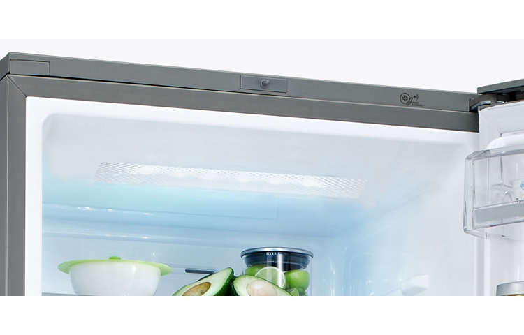 LG GBB530SWQFB fridge-freezer Freestanding – image 6