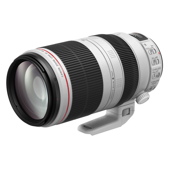 Canon EF 100-400mm F4.5-5.6L IS II USM