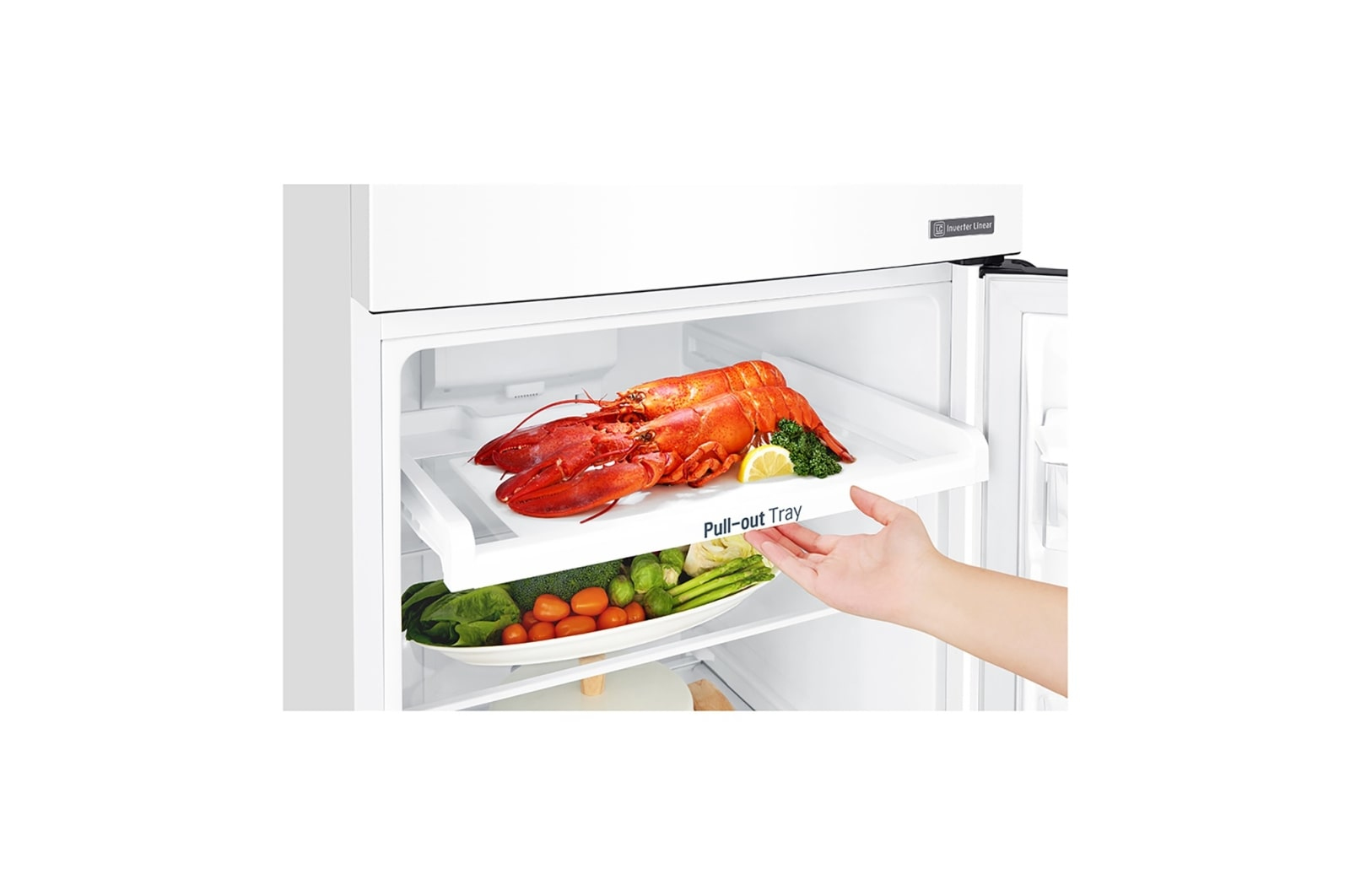 LG GT5525LWH fridge-freezer Freestanding – image 5