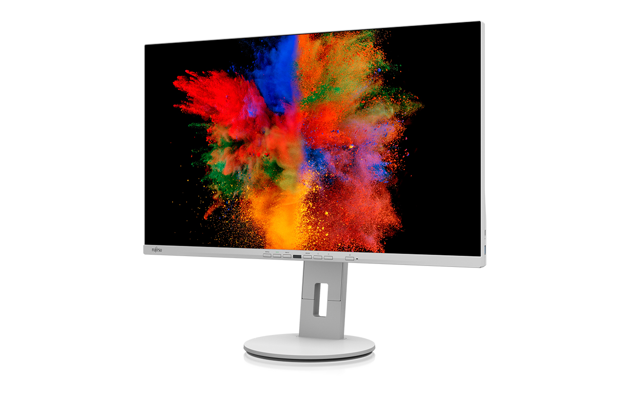 Fujitsu P2711 TE QHD – image 2