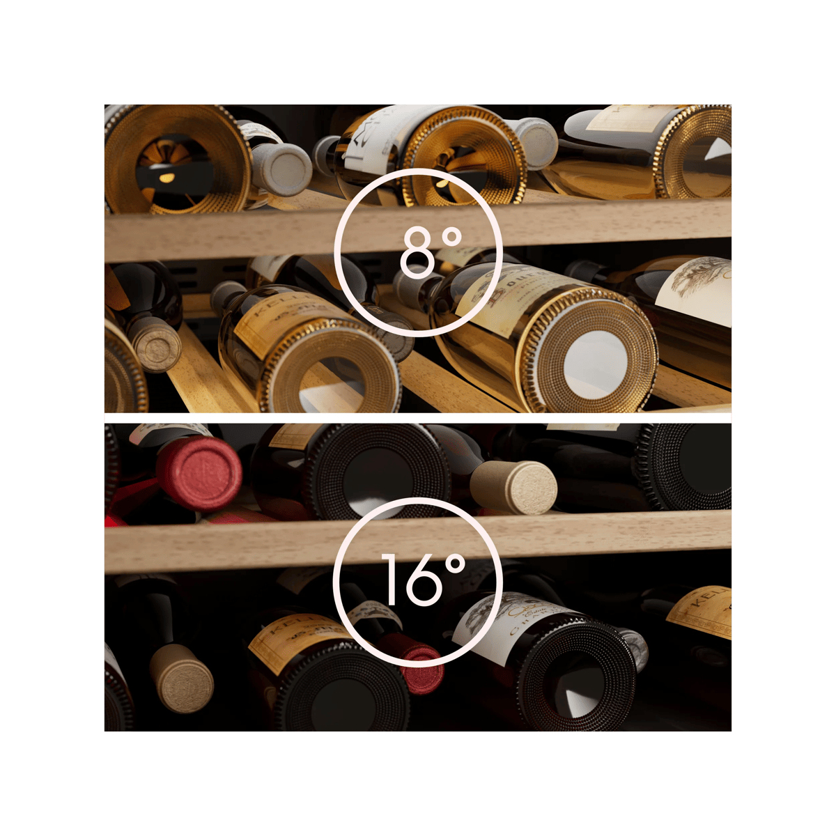 Electrolux EWCD280B6B Compressor wine cooler Built-in 26 bottle(s) – image 6