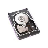 Seagate Cheetah 15K.3 73GB Ultra320 SCSI 15K RPM 8MB 20pk bulk