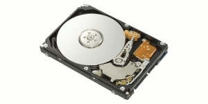 Fujitsu MHX2300BT - 300 GB, 2.5", SATA, 4200 RPM