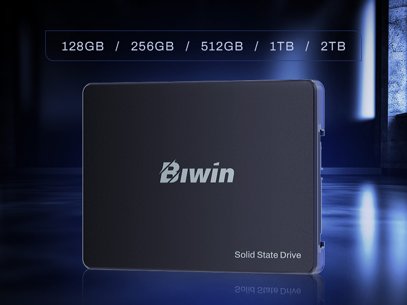 Biwin M100 128GB 2.5″ 500 MB/s image 10
