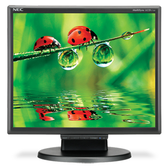 NEC MultiSync LCD175M – image 2