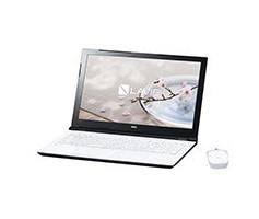 NEC LAVIE Smart NS(e) PC-SN16CJSAA-2 laptop Intel® Celeron® 3855U