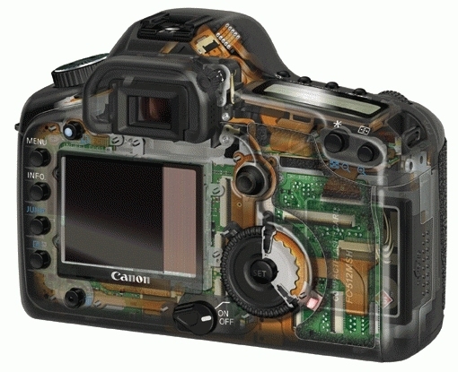Canon EOS 5D + EF 85mm f1.2L II USM – image 5