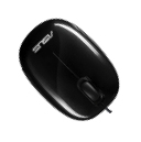 ASUS UT Seashell
