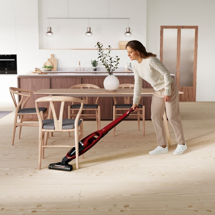 Electrolux WQ61-ANIMA 2-in-1 stick vacuum Battery Dry Cyclonic Bagless – image 9