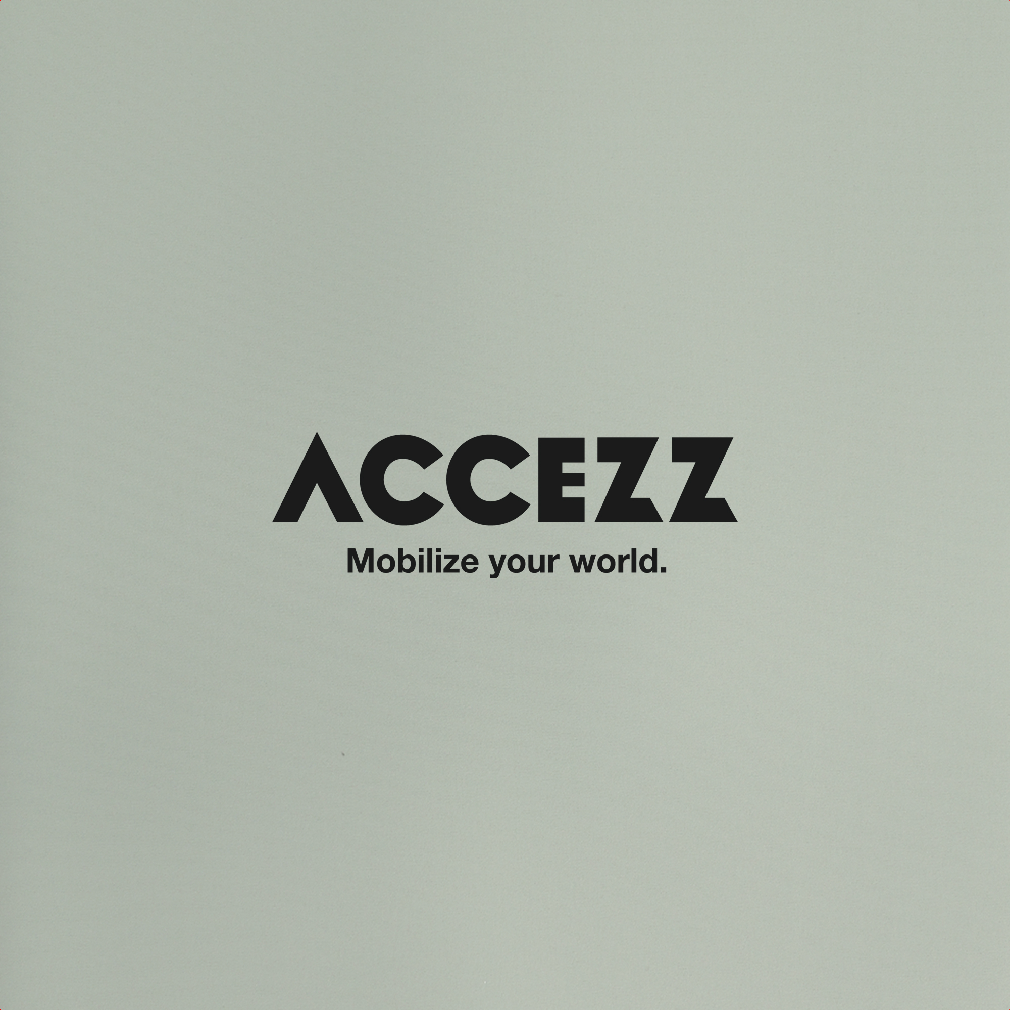 Accezz SH00098160 laptop case – image 2