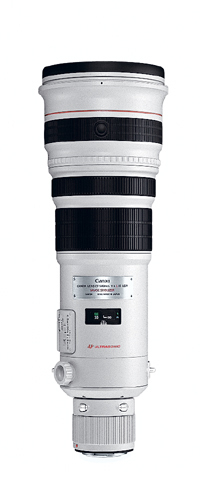 Canon EF 500mm f/4.0L IS USM