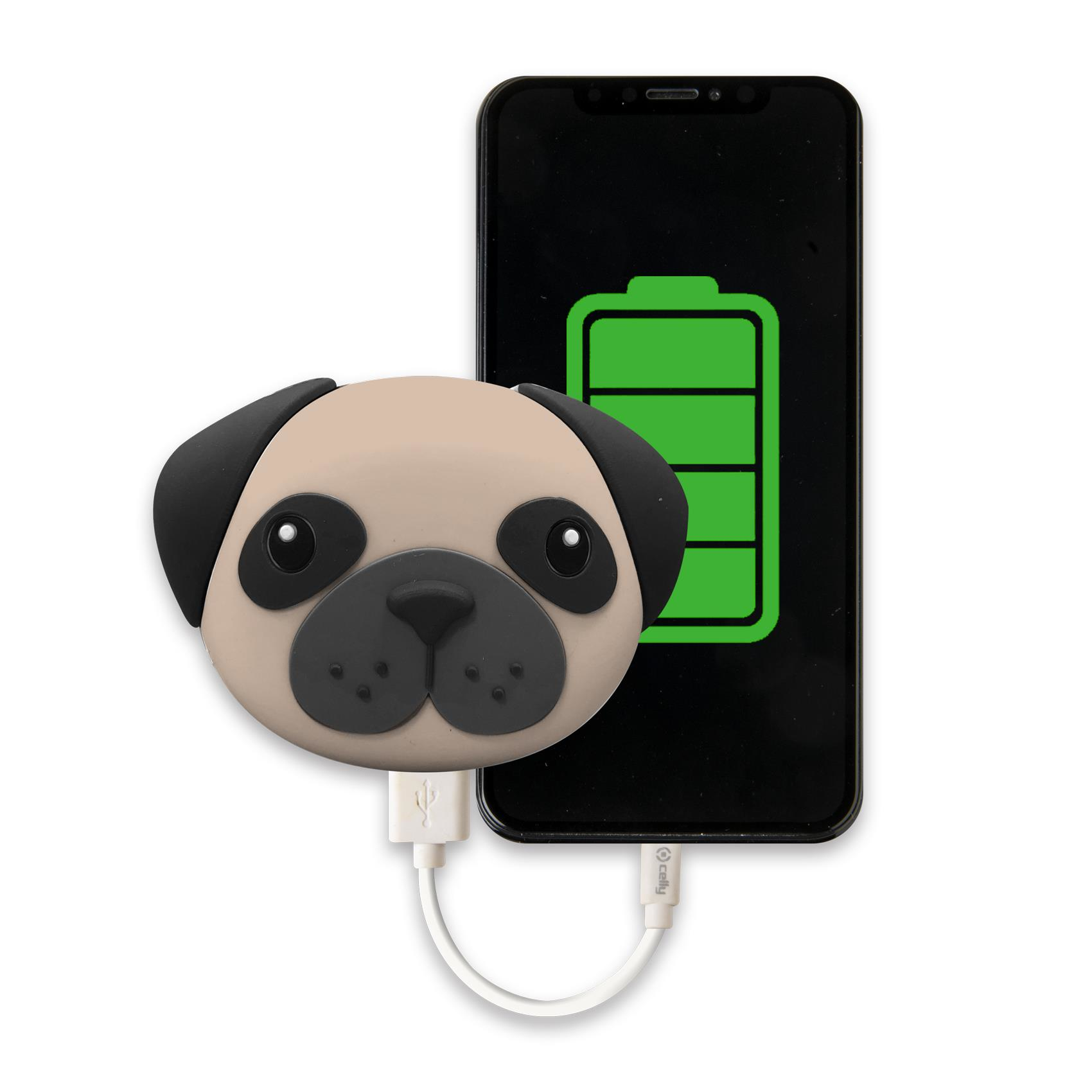 Celly PBPUG2600 power bank Lithium-Ion (Li-Ion) – image 2