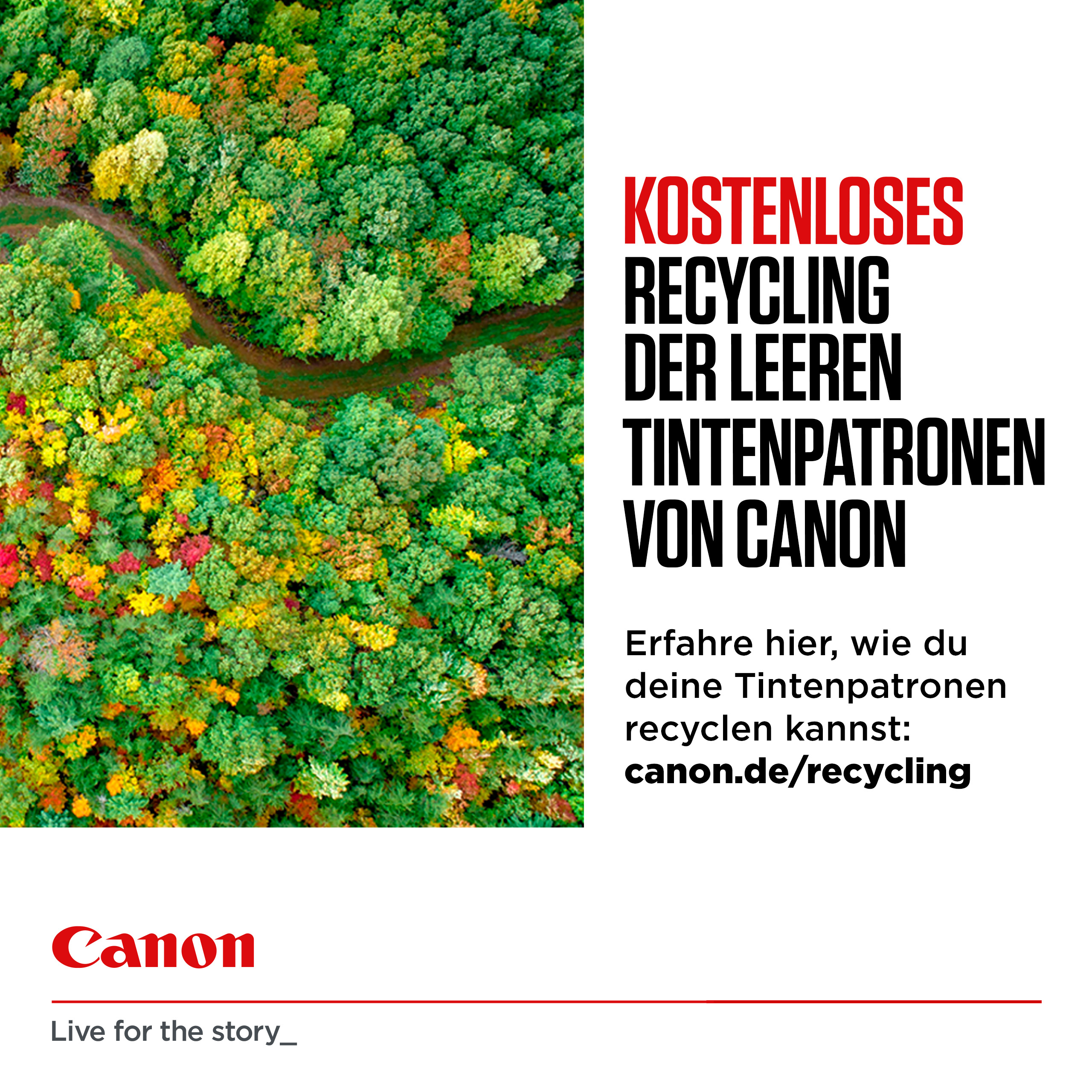 Patrone Canon PGI-530PGBK        black