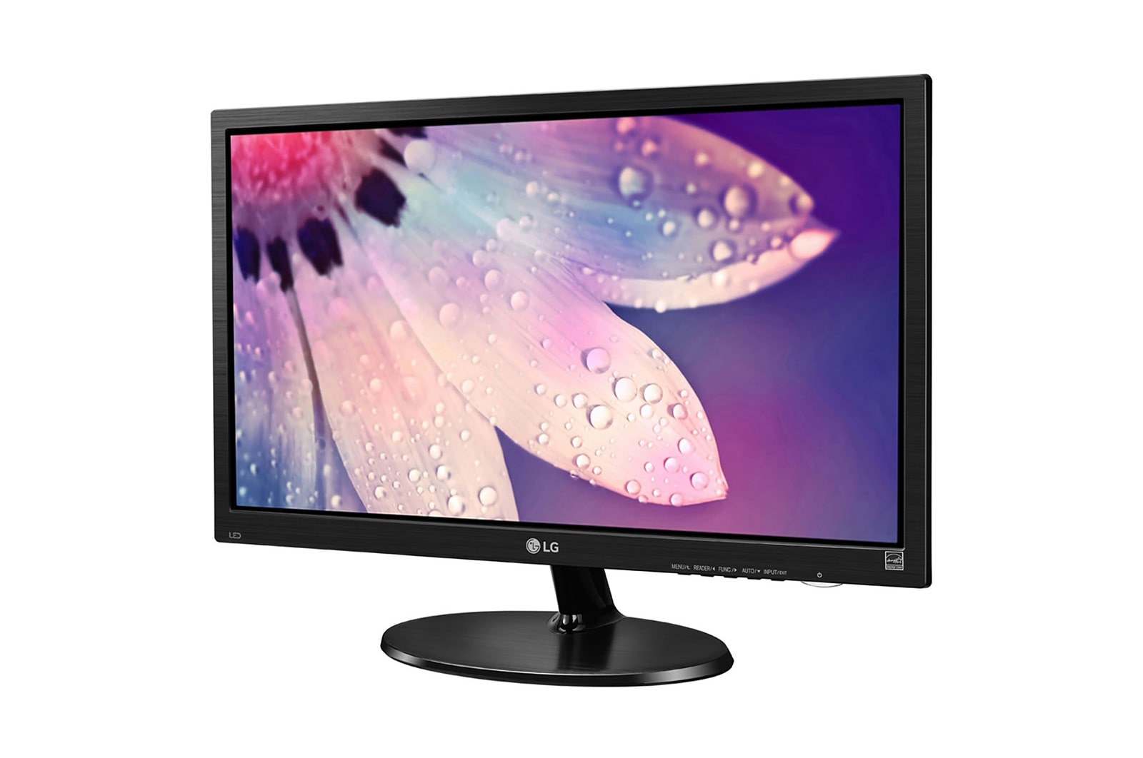LG 19M38H-B computer monitor – image 2