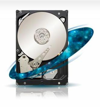 Seagate Constellation ST33000651SS internal hard drive