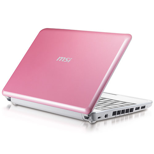 MSI Wind U100-441UK