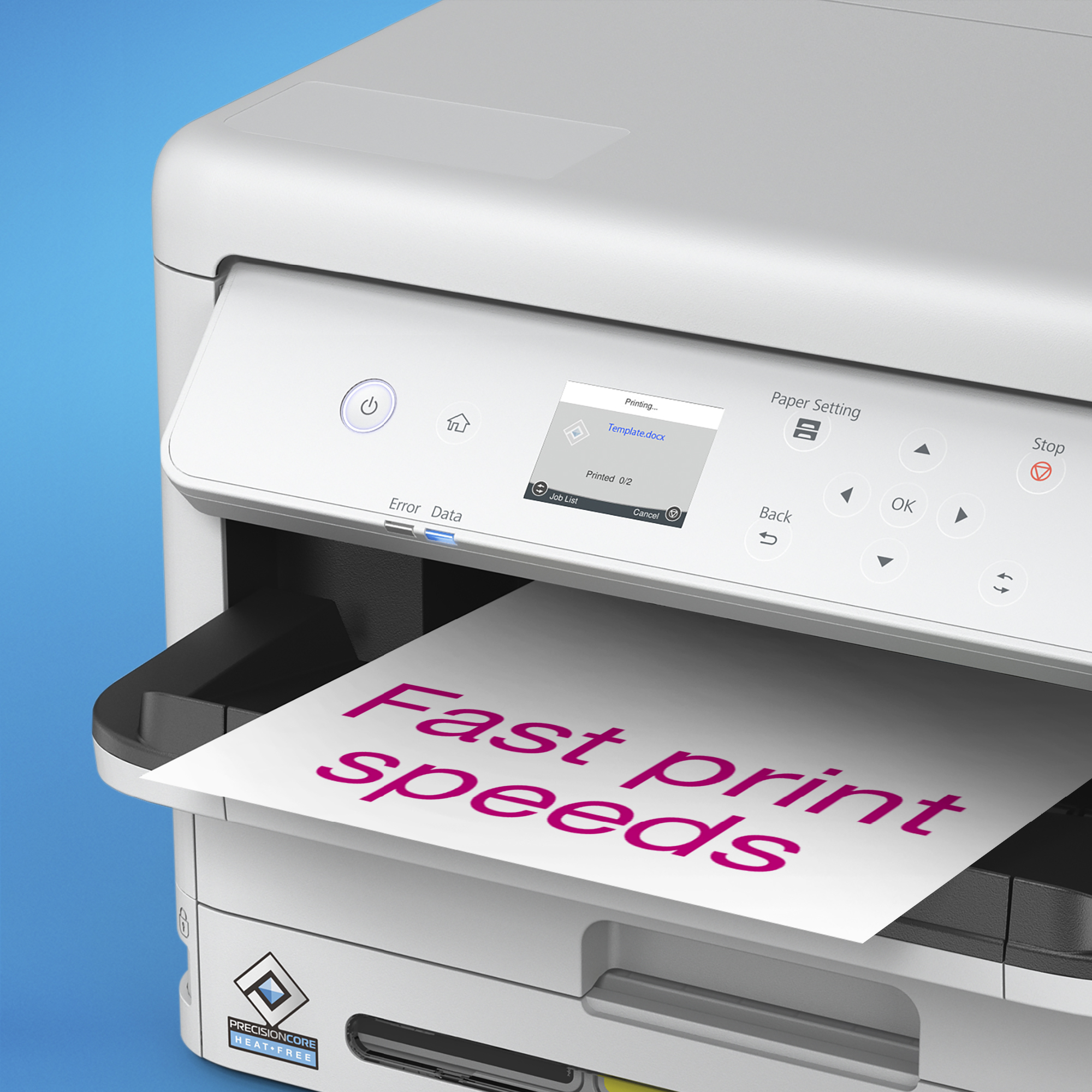 Product Gallery