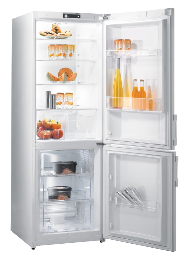 Gorenje RK 60359 HW