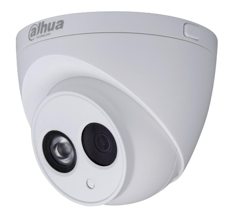 Dahua Technology DH-IPC-HDW42A1EN Dome IP security camera Outdoor