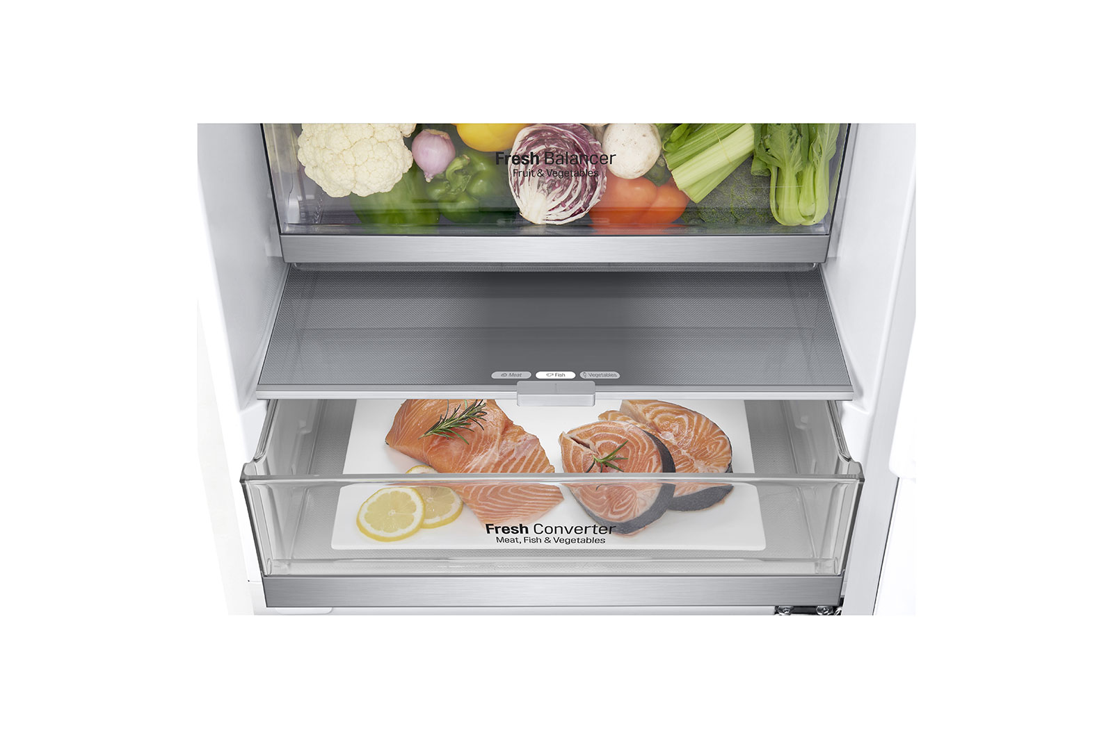 LG GBB72SWEZN fridge-freezer Freestanding – image 6