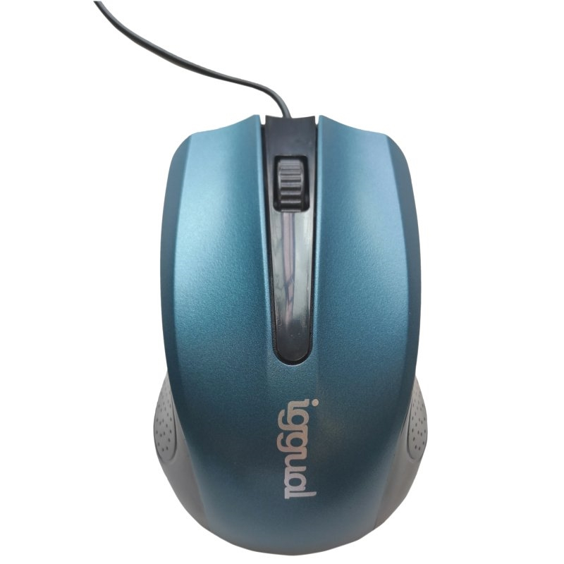 iggual IGG317549 mouse Office Ambidextrous USB Type-A Optical 800 DPI