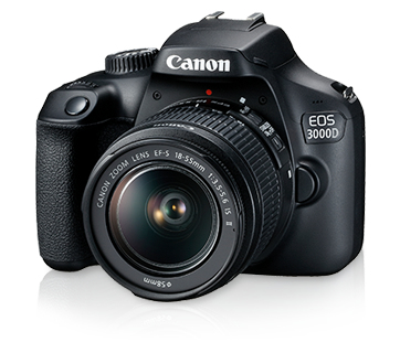 Canon 3000D + EF-S 18-55mm f/3.5-5.6 IS II – image 2