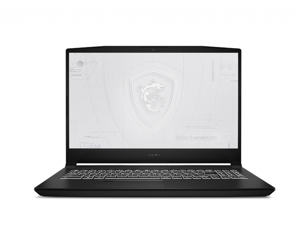 MSI WF66 11UJ-256ES