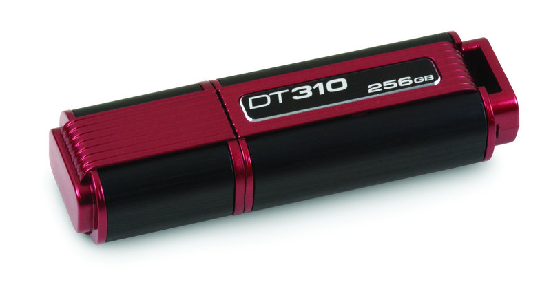 Kingston Technology DataTraveler DT310/256GB USB flash drive USB Type-A 2.0 Black, Red