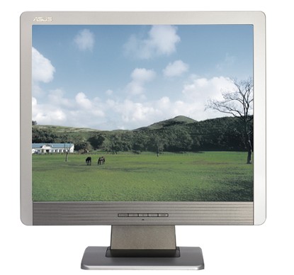 ASUS MM17D LCD Display