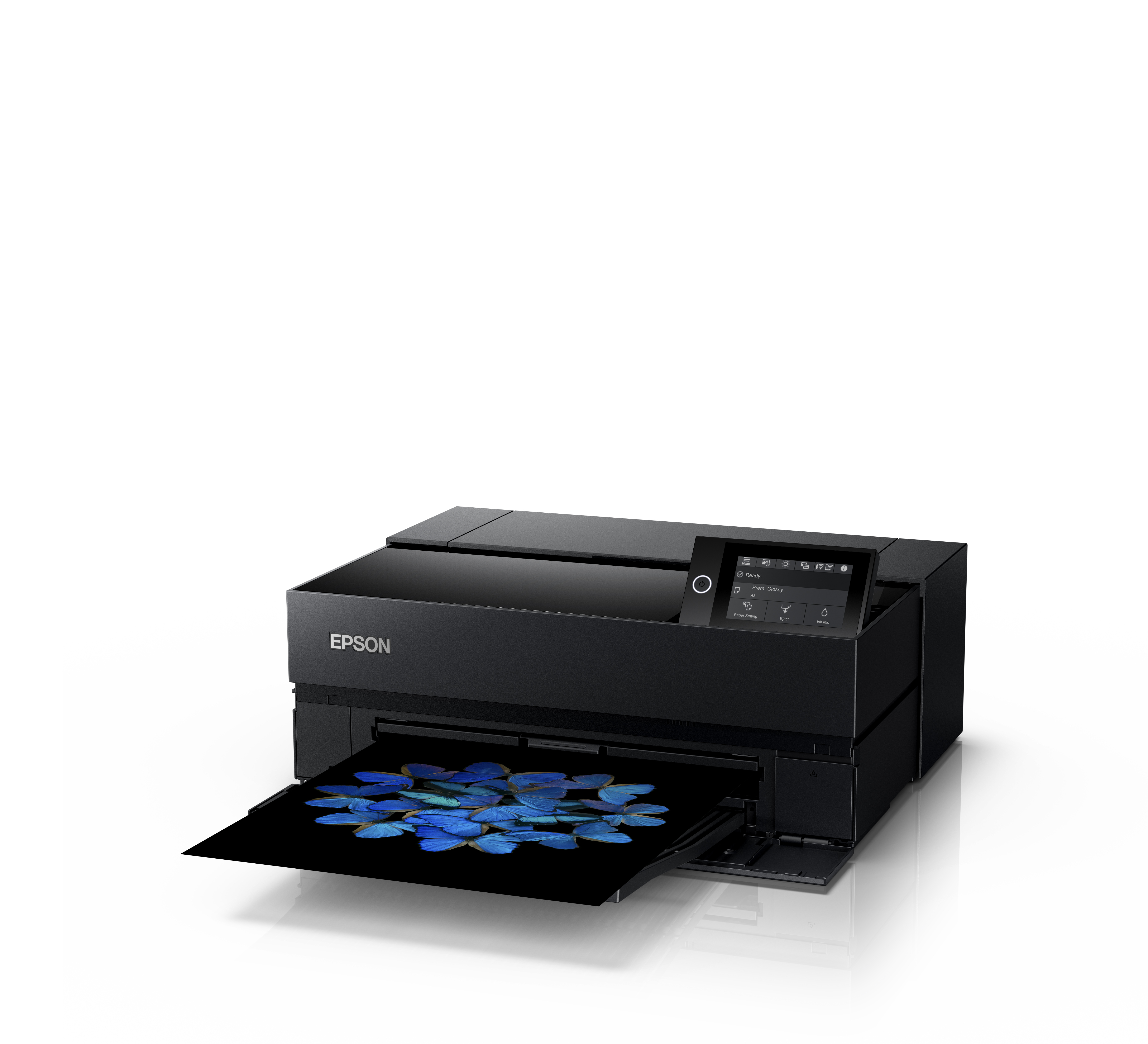Product Gallery
