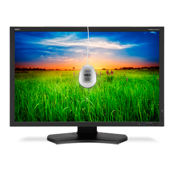 NEC MultiSync PA301W-BK-SV – image 3