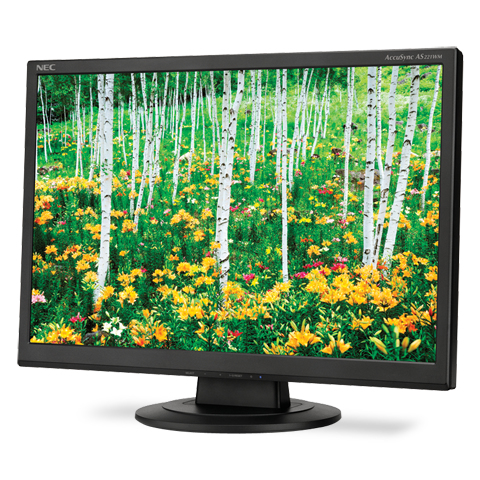 NEC AccuSync AS221WM computer monitor