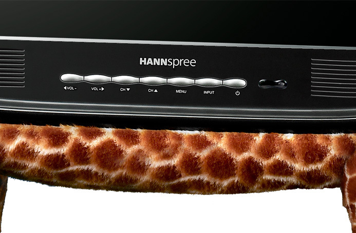 Hannspree ST19BMAB TV 48.3 cm (19") WXGA Black, Brown, Yellow 300 cd/m² – image 5